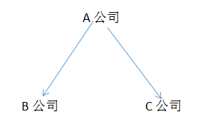 同一控制下的控股合并